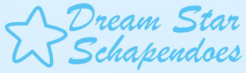 Dream Star Schapendoes